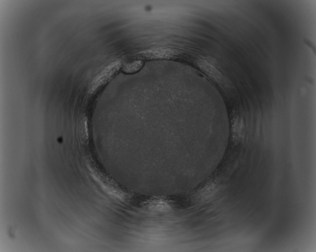 X0000101950254200807181457