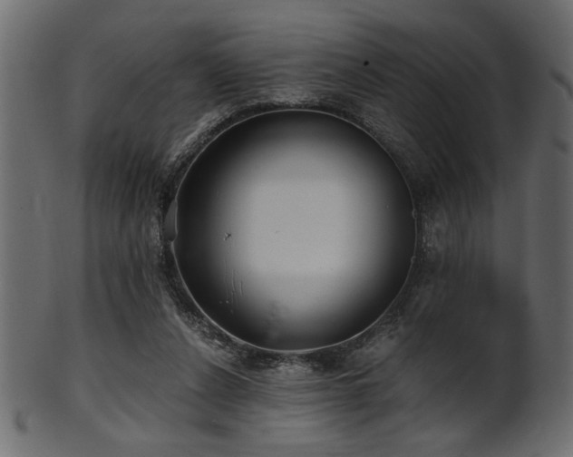 X0000101950256200807181457