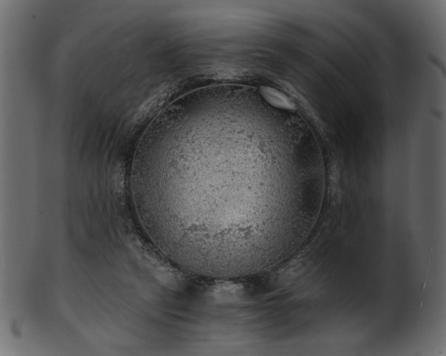 X0000101950257200807181457