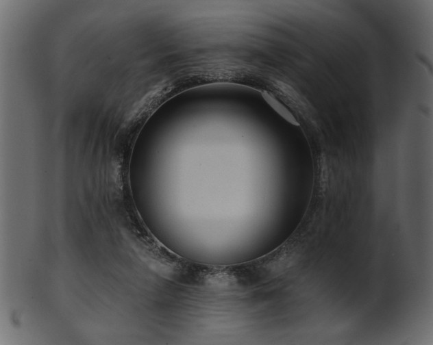 X0000101950258200807181457