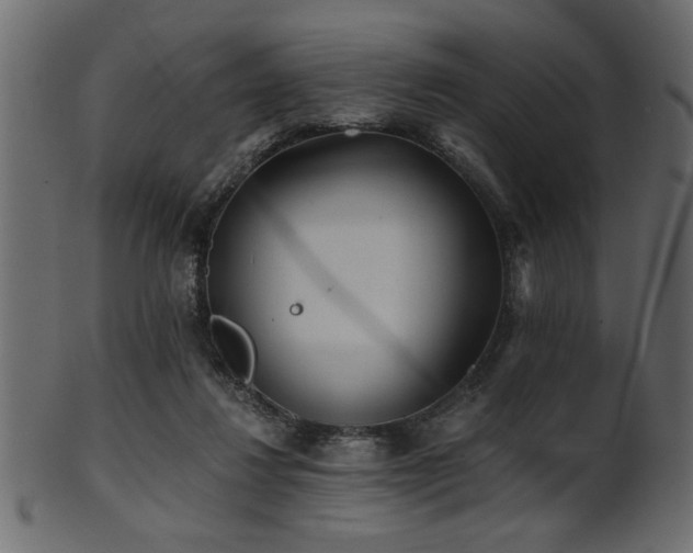 X0000101950260200807181457