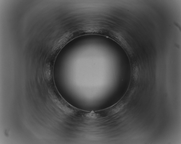 X0000101950261200807181457