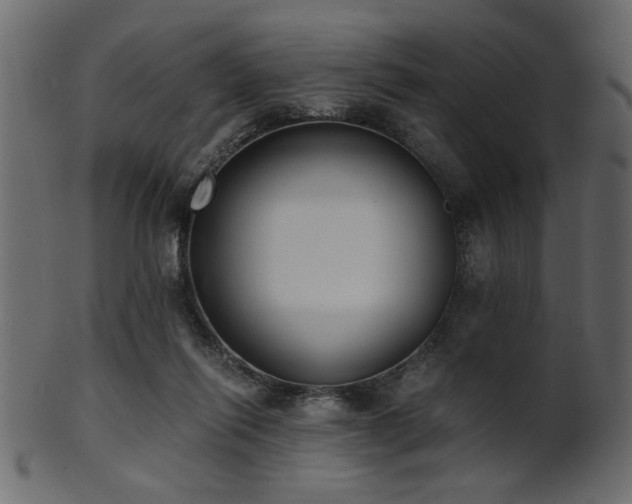 X0000101950262200807181457