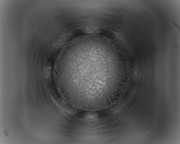 X0000101950263200807181457