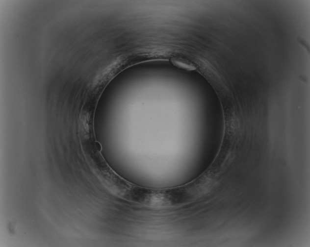 X0000101950264200807181457