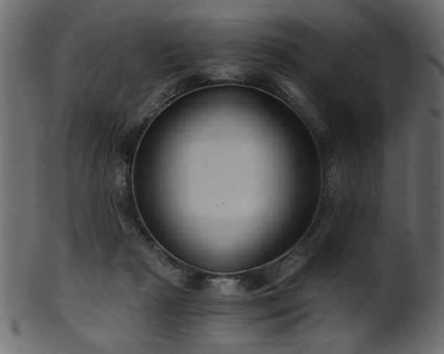 X0000101950265200807181457