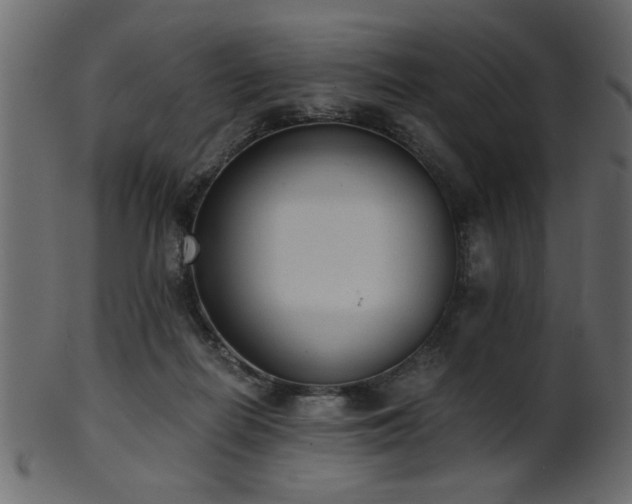 X0000101950266200807181457