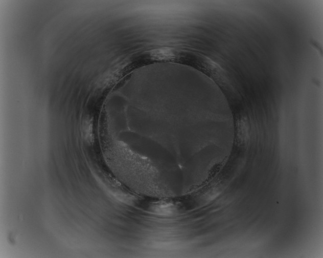 X0000101950267200807181457