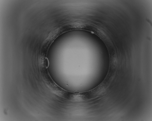 X0000101950268200807181457