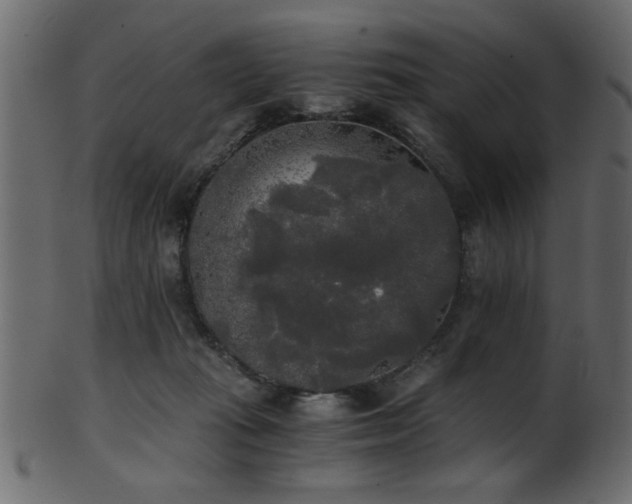 X0000101950269200807181457