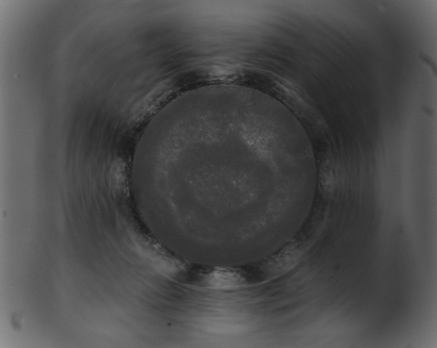 X0000101950270200807181457