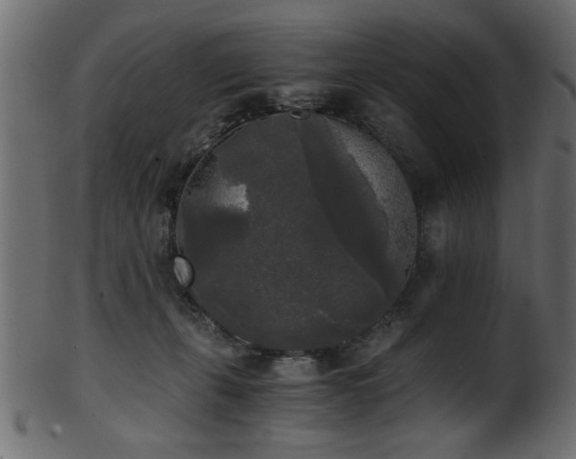 X0000101950271200807181457