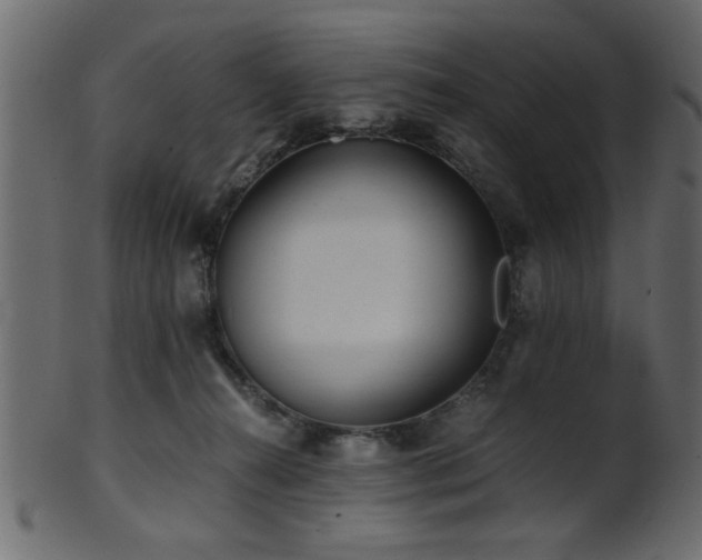 X0000101950272200807181457