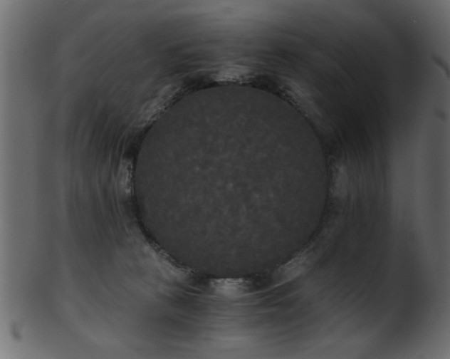 X0000101950273200807181457