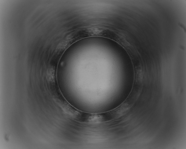 X0000101950274200807181457