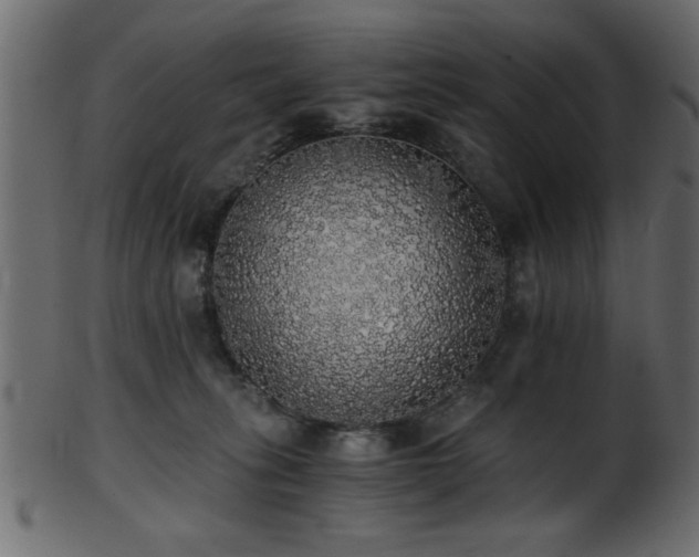 X0000101950275200807181457