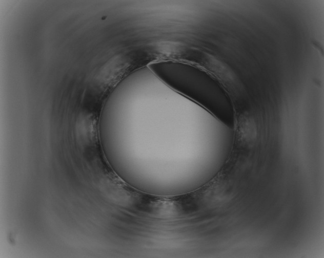 X0000101950276200807181457