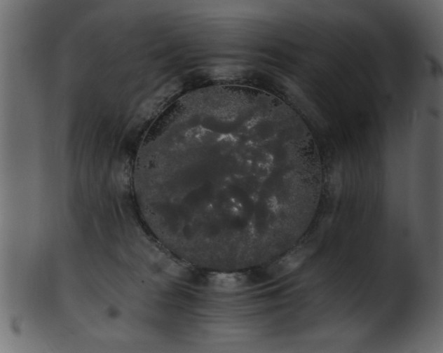 X0000101950277200807181457