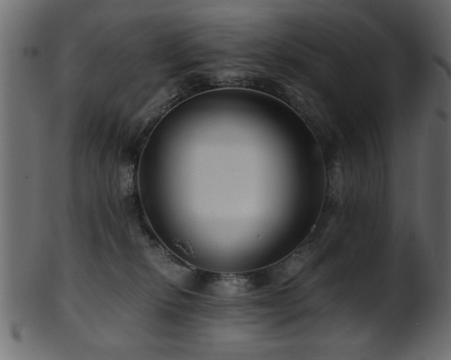 X0000101950278200807181457