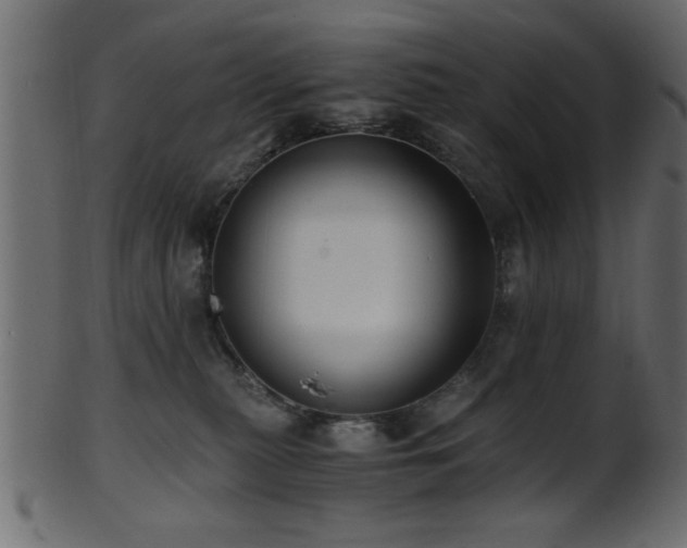 X0000101950279200807181457