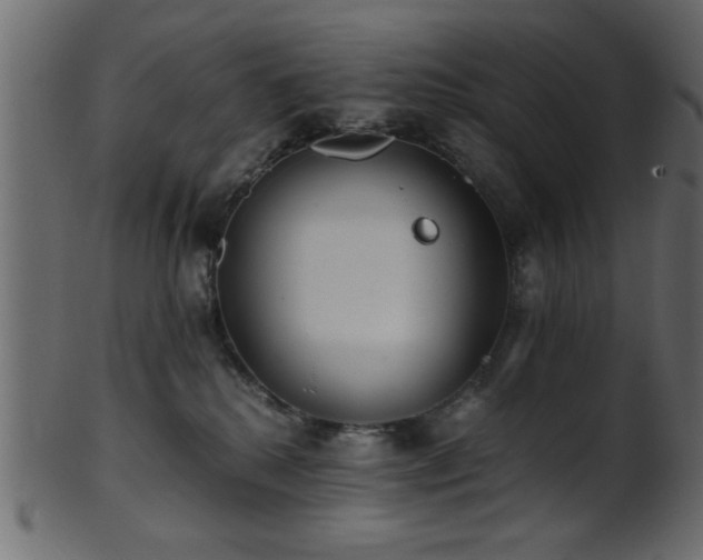 X0000101950280200807181457