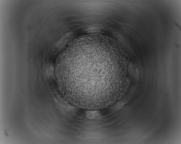 X0000101950281200807181457