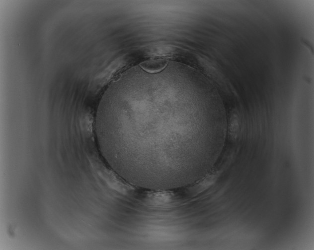 X0000101950282200807181457