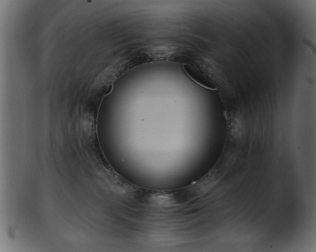 X0000101950283200807181457