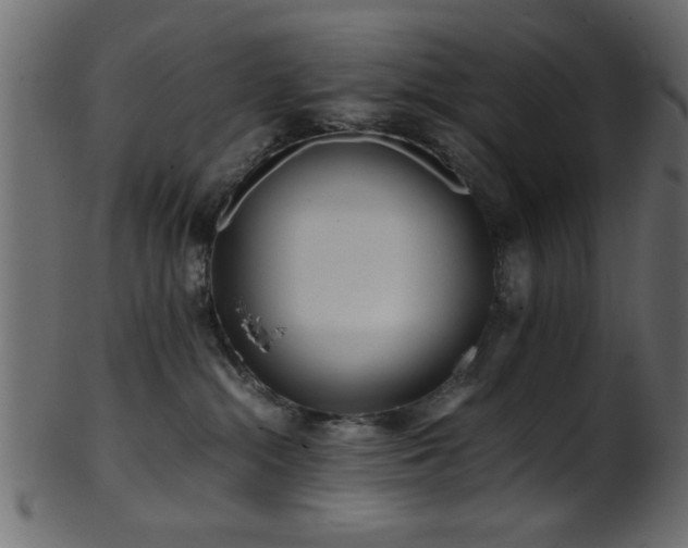 X0000101950284200807181457