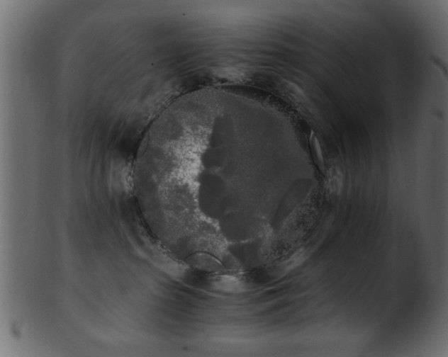 X0000101950285200807181457