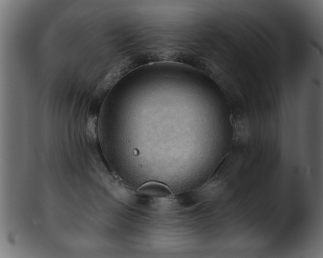 X0000101950286200807181457