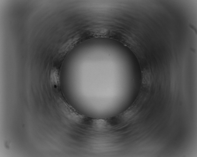 X0000101950287200807181457