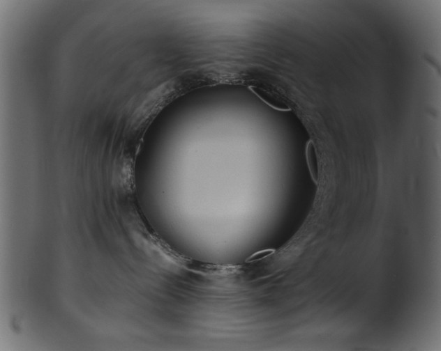 X0000101950288200807181457