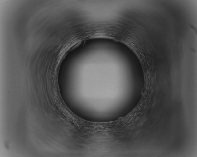 X0000101950289200807181456