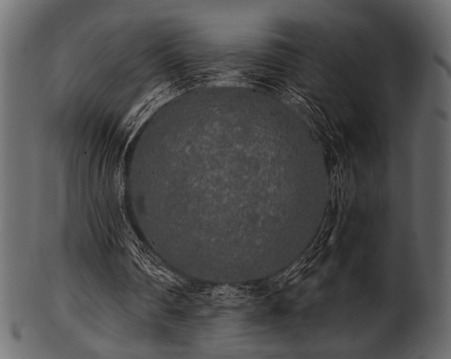 X0000101950290200807181456