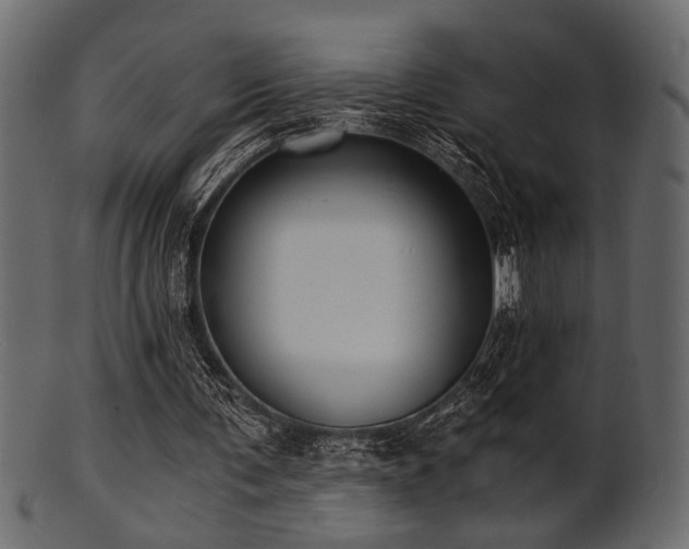 X0000101950291200807181456