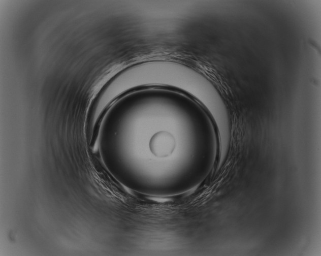 X0000101950292200807181456