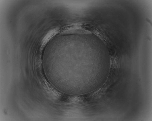 X0000101950293200807181456