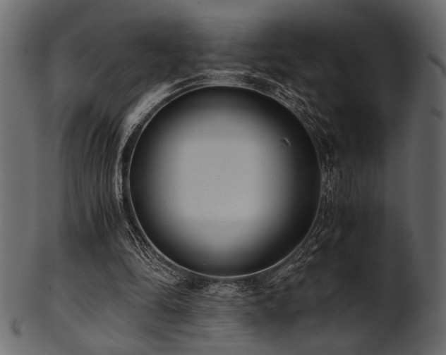 X0000101950294200807181456