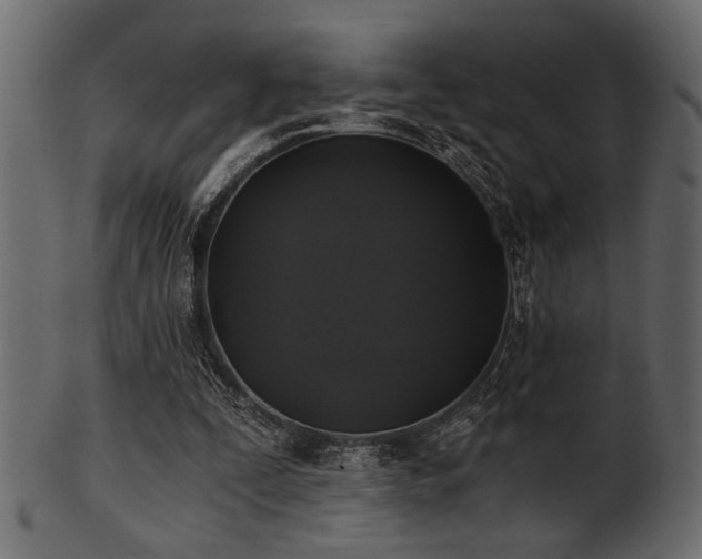 X0000101950295200807181456