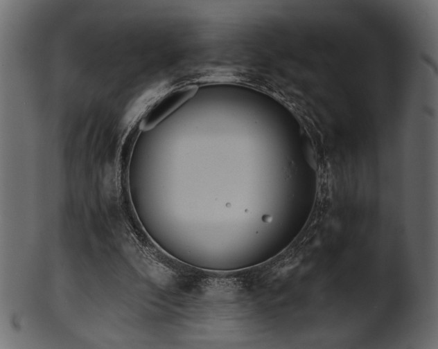 X0000101950296200807181456