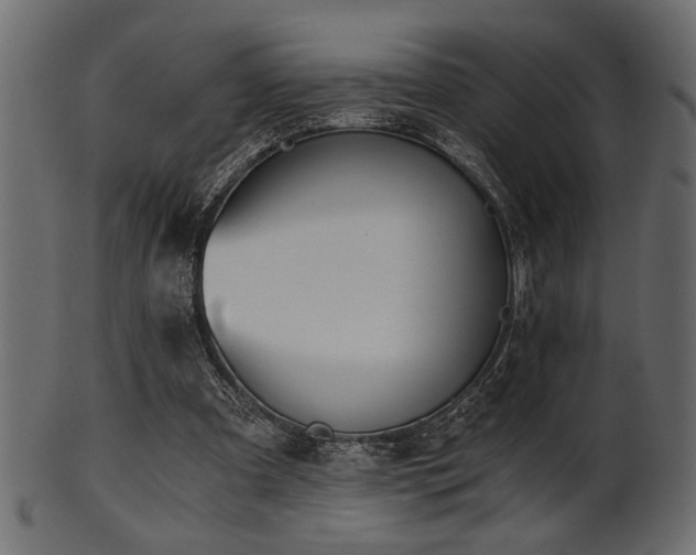 X0000101950297200807181456