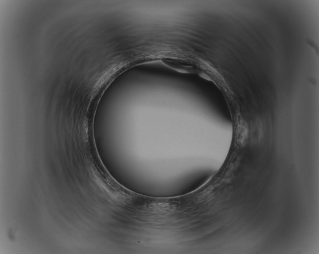 X0000101950298200807181456