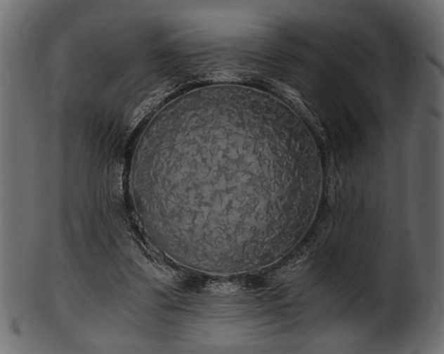 X0000101950299200807181456