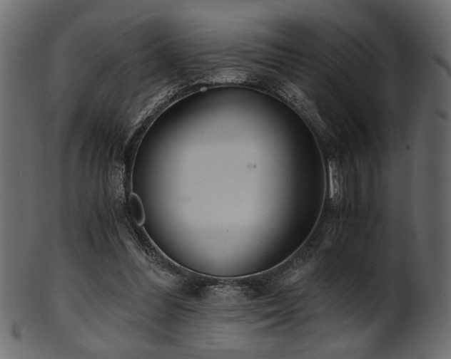 X0000101950300200807181456