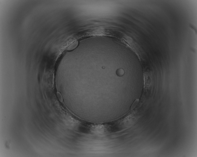 X0000101950301200807181456