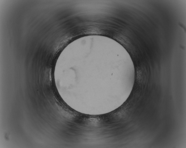 X0000101950302200807181456