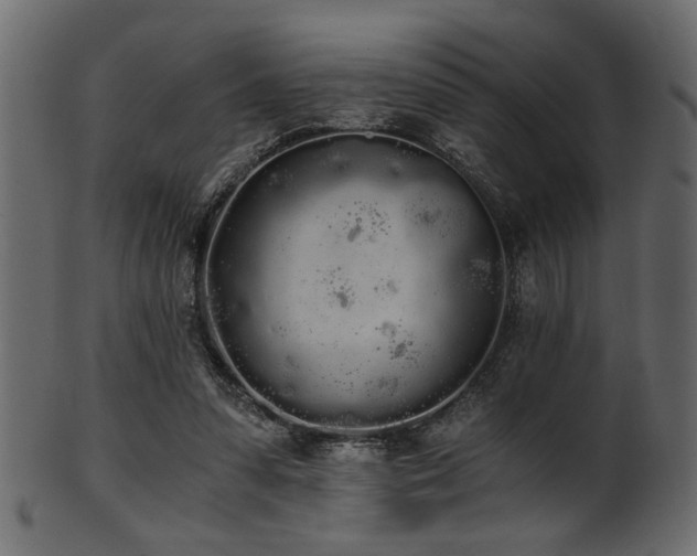 X0000101950303200807181456