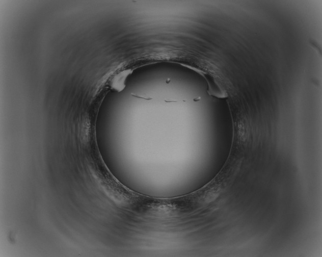 X0000101950304200807181456