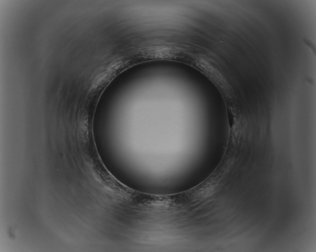 X0000101950306200807181456